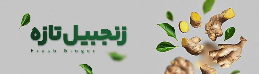 زنجبیل تازه و آبدار داتچین مناسب برای انواع دمنوش، پخت و پز و استفاده روزمره