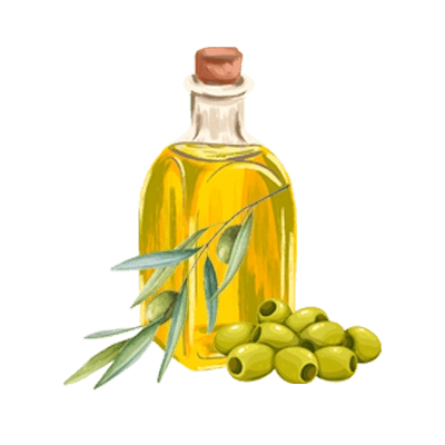 طرح روغن زیتون و دانه های زیتون، یکی از محصولات باغات داتچین