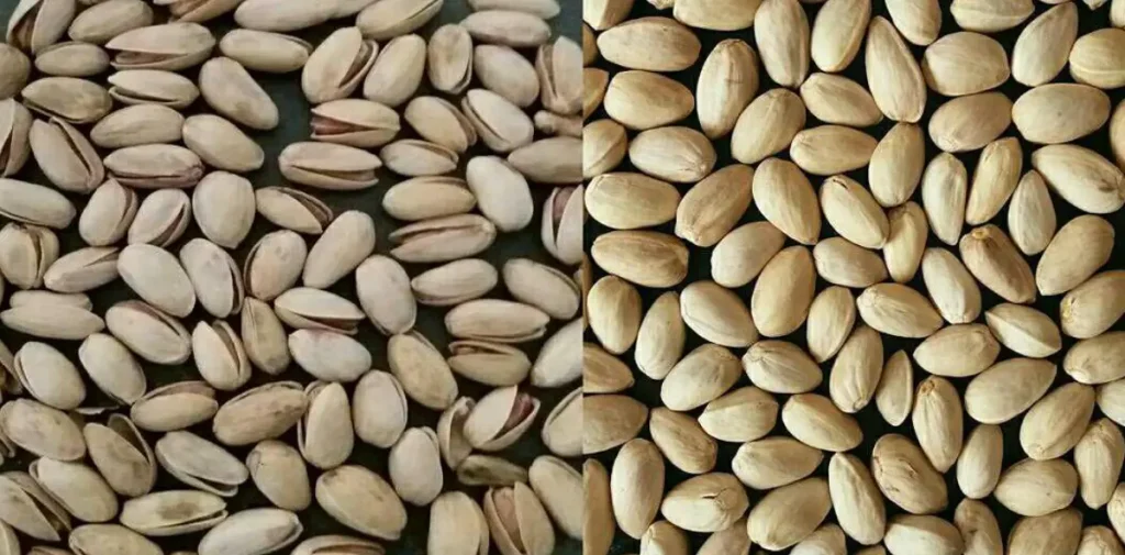 پسته آب خندان، دهن بست باز شده به روش مکانیکی