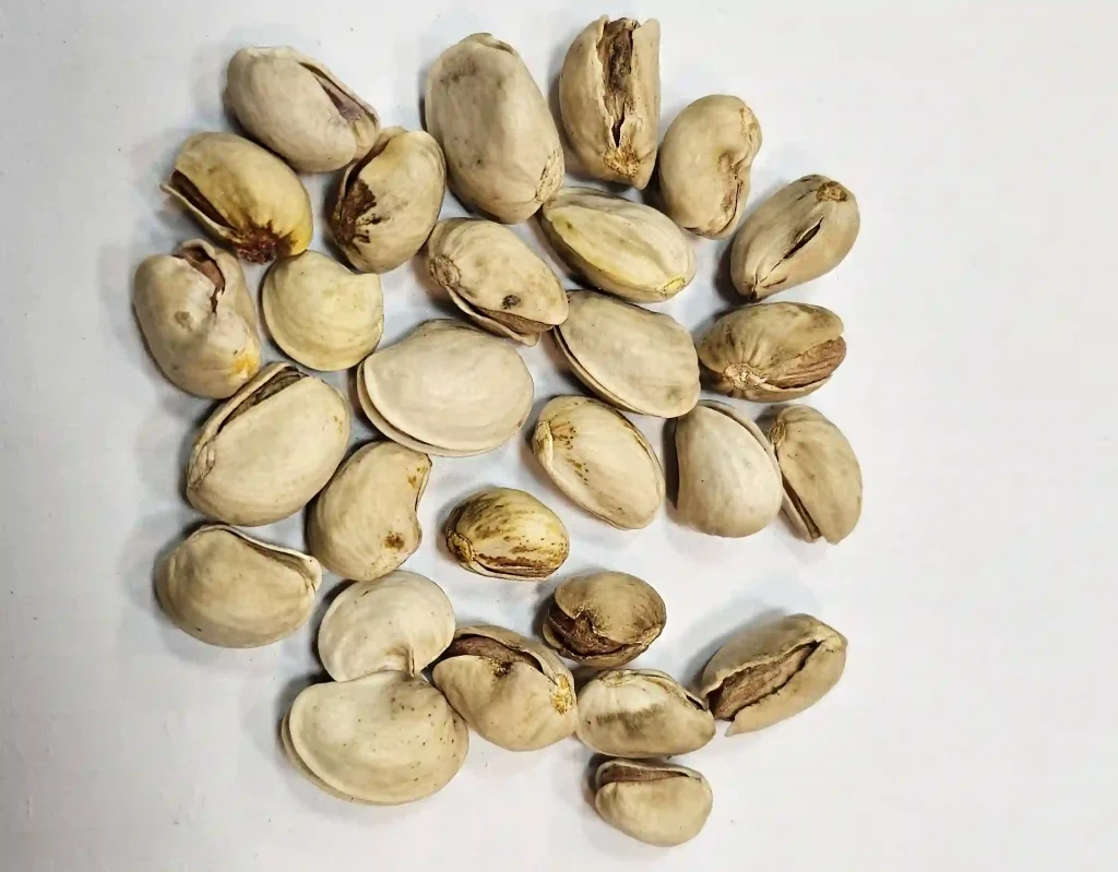 پسته دفرمه یا نخودو، تفاوت در شکل و سایز پوسته