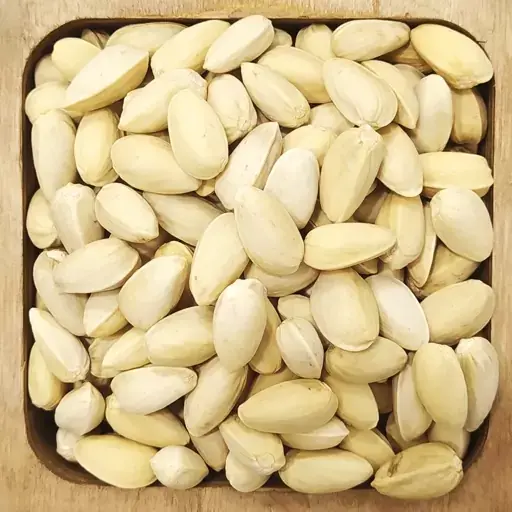 پسته پوچ یا پوک ، پسته خالی از مغز، ارزش خرید اجیلی ندارد